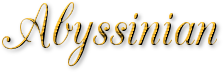 Abyssinians